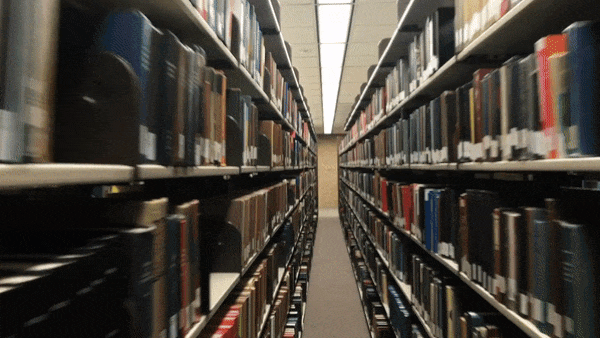 BOOKCORPUS