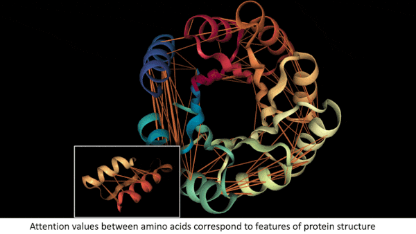 PROTEIN-1