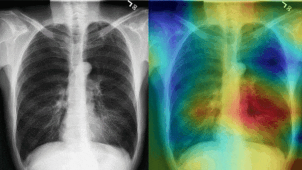 radiology-redo